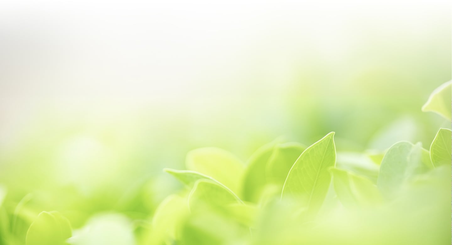 Green Festival